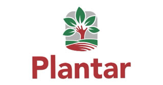 plantar