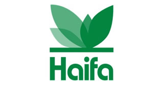 haifa